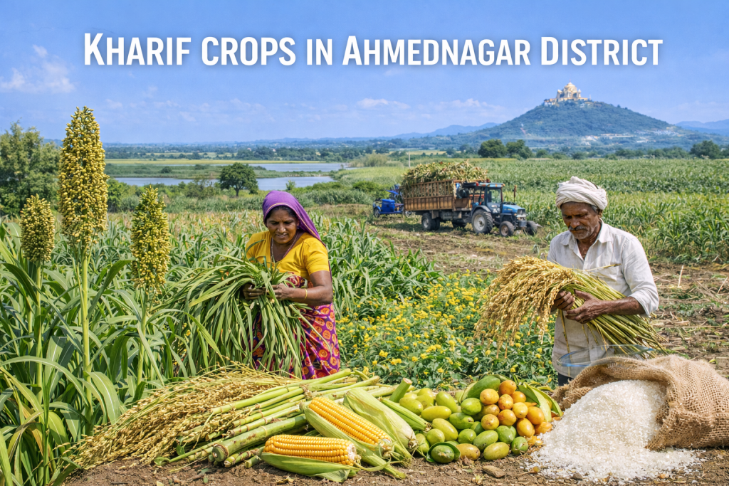 chatgpt image jan 28, 2026, 09 02 41 am